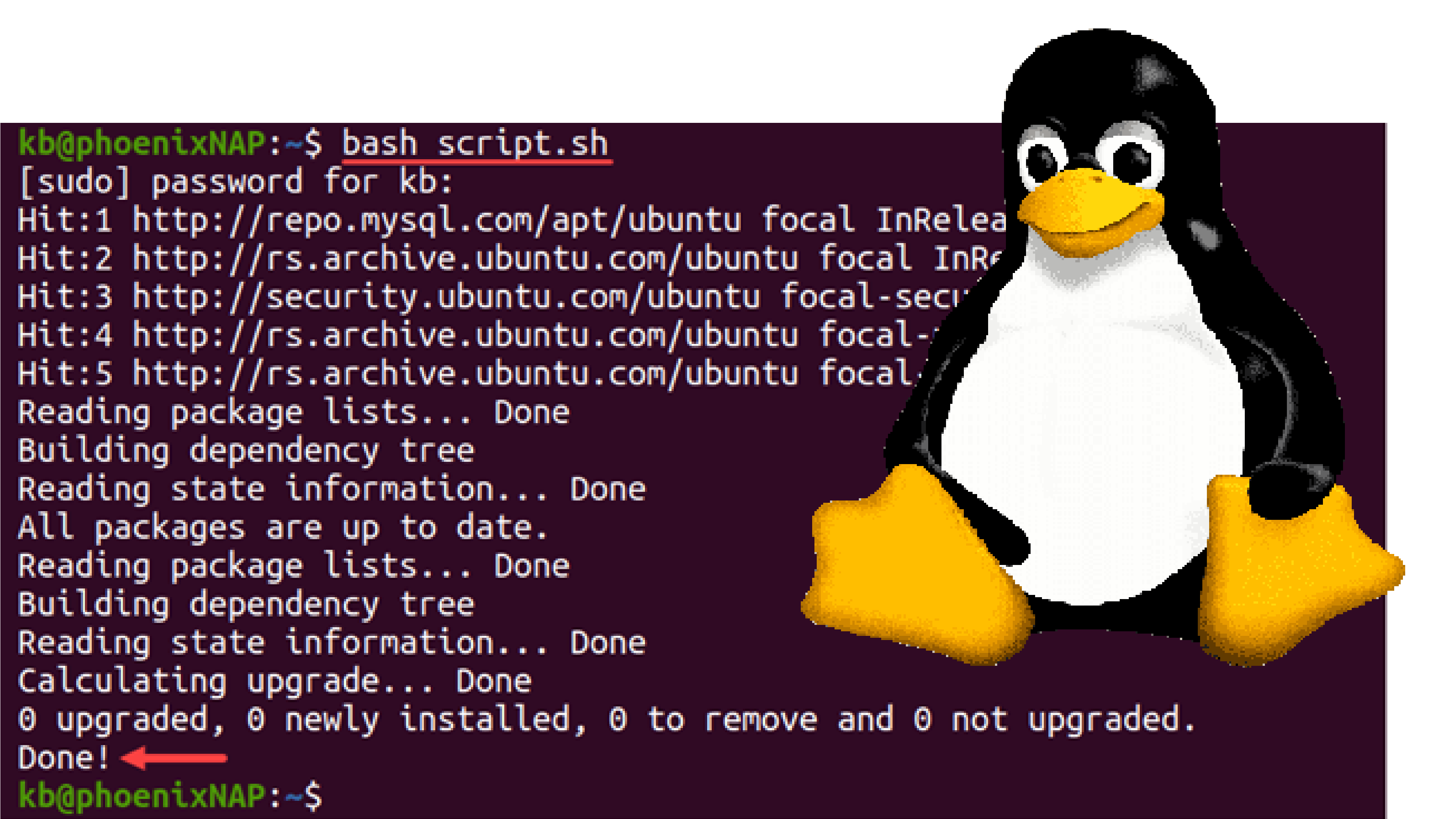 Bash Network Analyzer